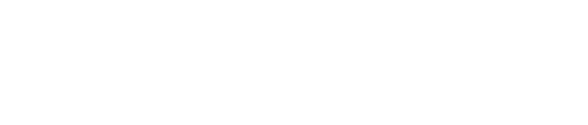 NuFlow logo